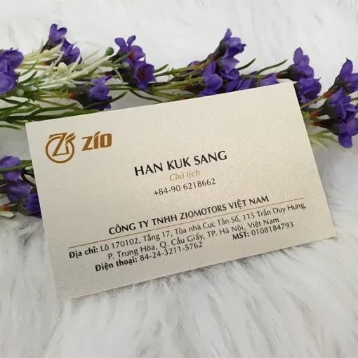 In Card Visit - Name Card tại In Ấn Bảo Long